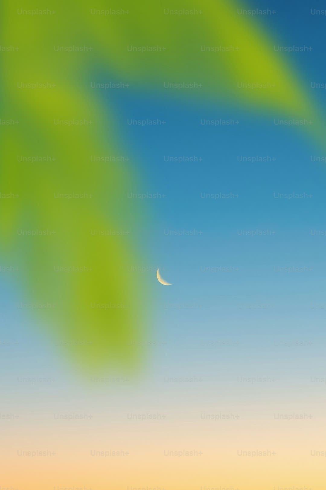 http://n.sinaimg.cn/news/transform/w600h400/20180311/90mA-fxpwyhw9115911.jpg?zdy